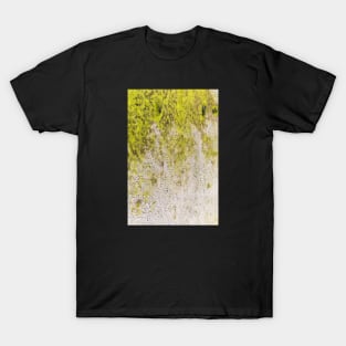 Green Arid Crumbling Texture T-Shirt